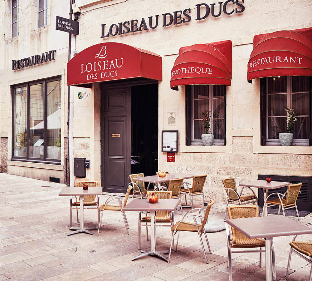 Loiseau des Ducs