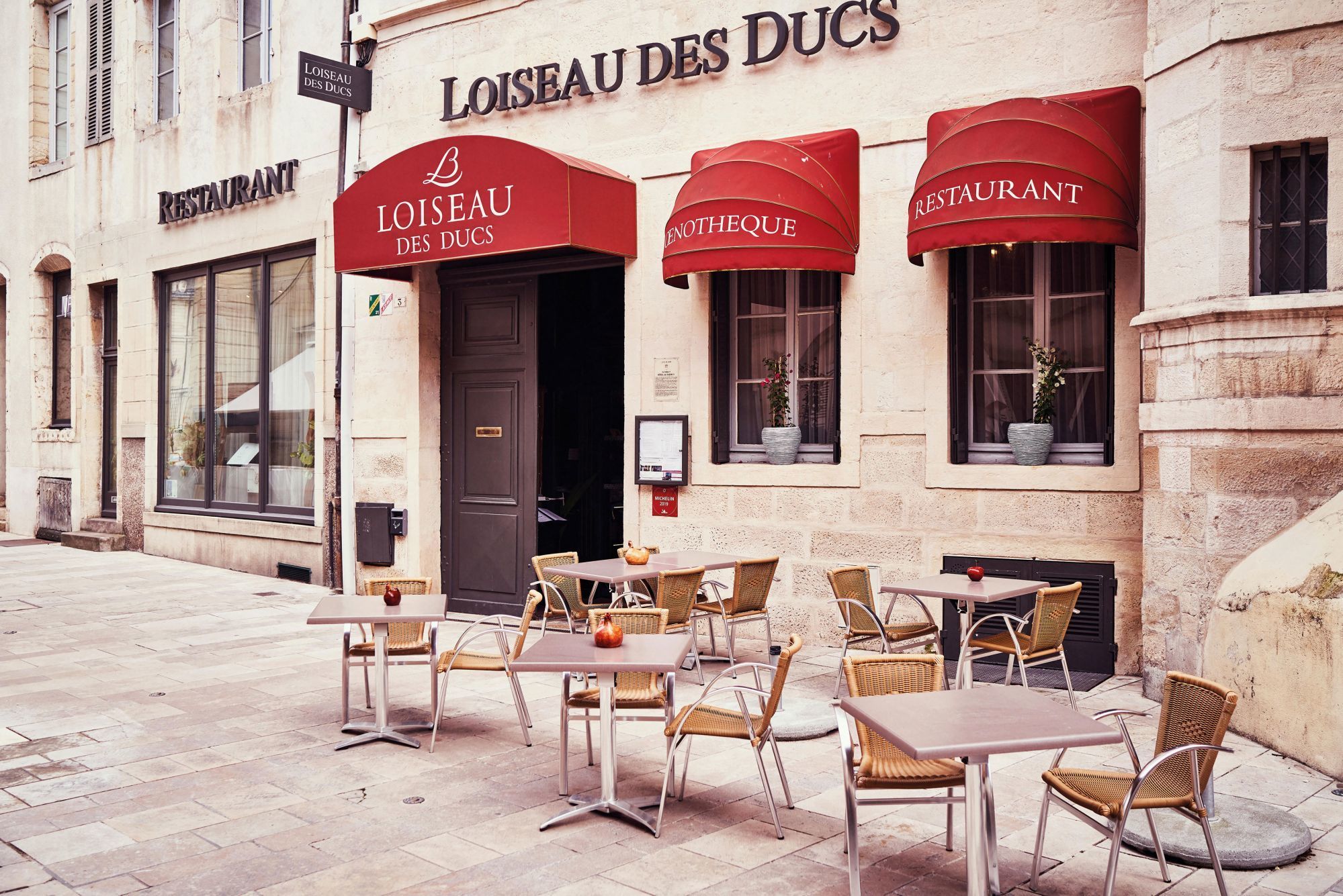 Loiseau des Ducs