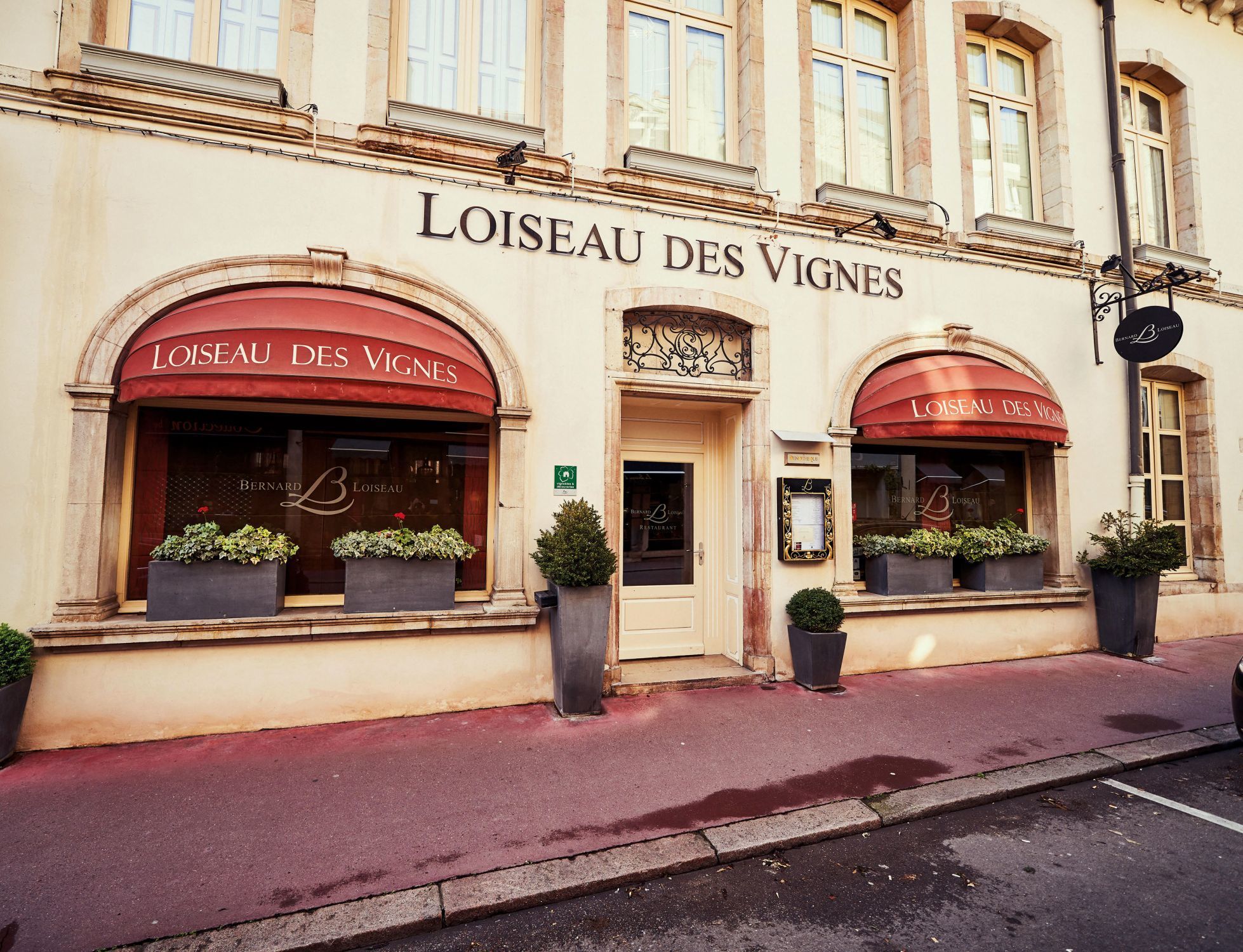 Loiseau des Vignes